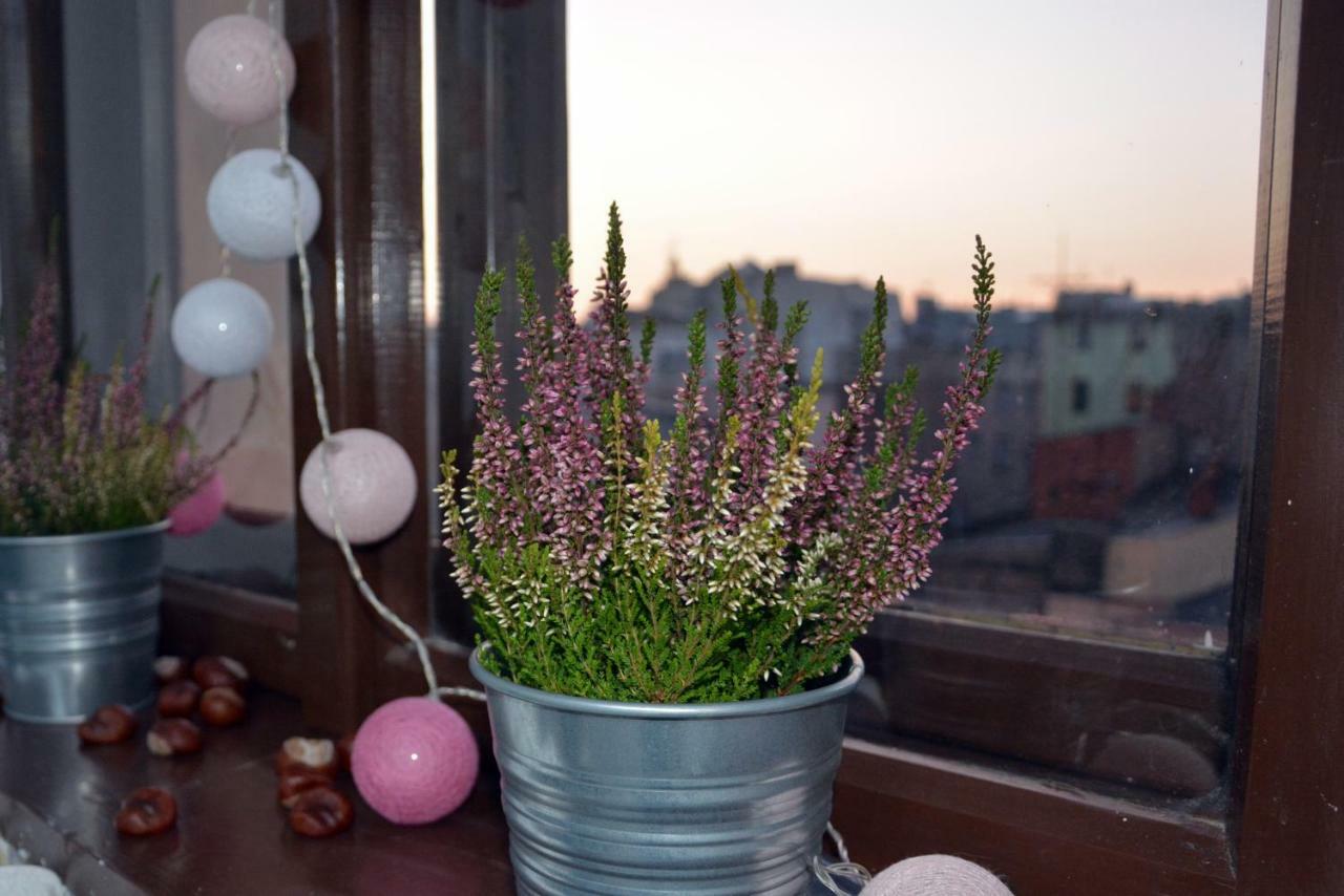 Apartament Bartolomeo ทอรูน ภายนอก รูปภาพ
